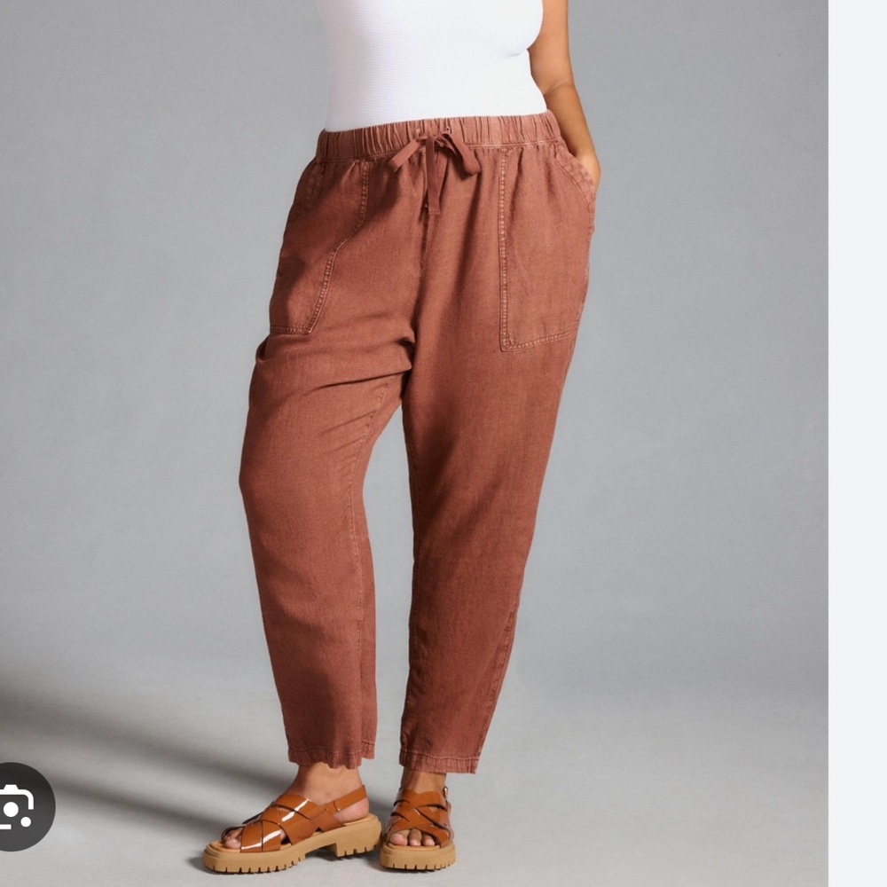 Pilcro Ankle Pants in Rust
